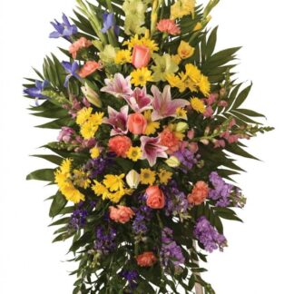 Traditional Standing Design Multi colorful