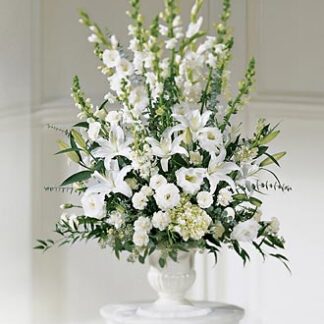 Morning Stars Arrangement