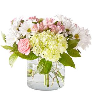 Flutter of Pink and White flowers