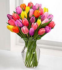 Abundance of Tulips