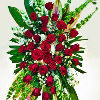Red Roses with White and foliage