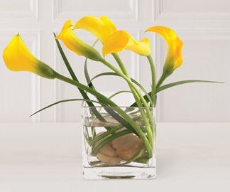 Instant Happiness Arrangement