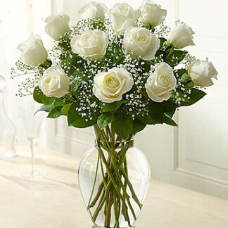 White Rose Elegance Premium Long Stem White Roses