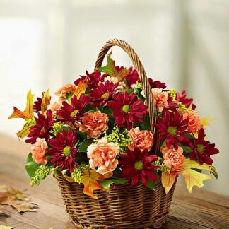 Fields of Europe for Fall Basket