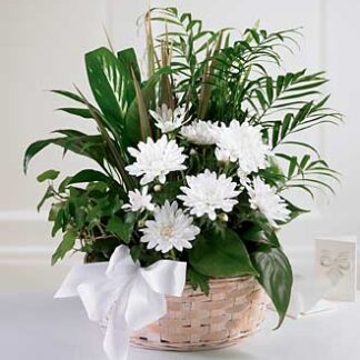 Peaceful Garden Basket