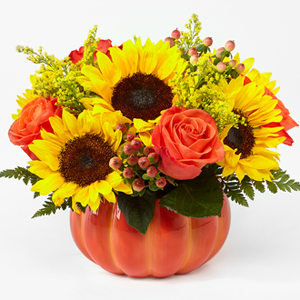 Harvest Traditions Pumpkin