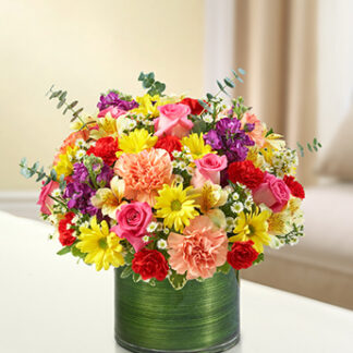 Cherished Memories - Multicolor Bright