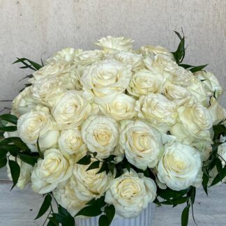 Breathless Pure White Rose Elegance