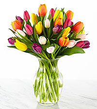 Rush of Color Assorted Tulip Bouquet