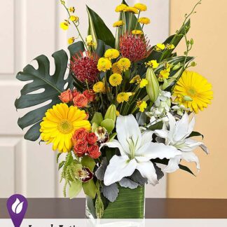 Tropic Breeze&trade;