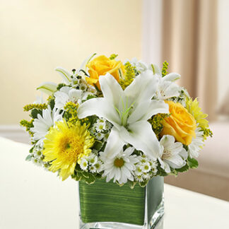 Healing Tears - Yellow and White