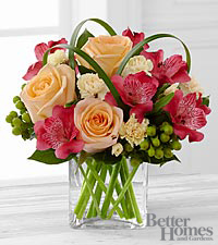 Peach and Pink tussy square